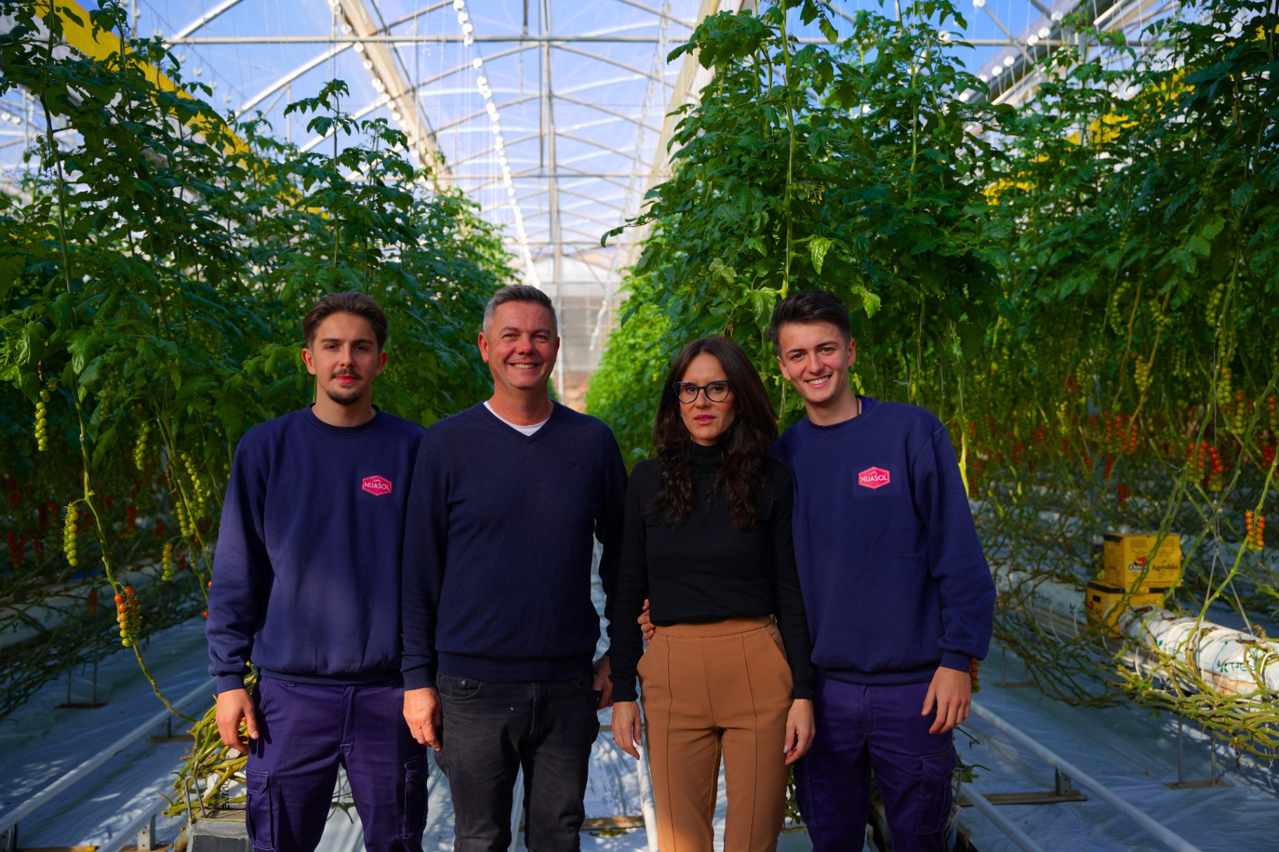 The problem becomes clear